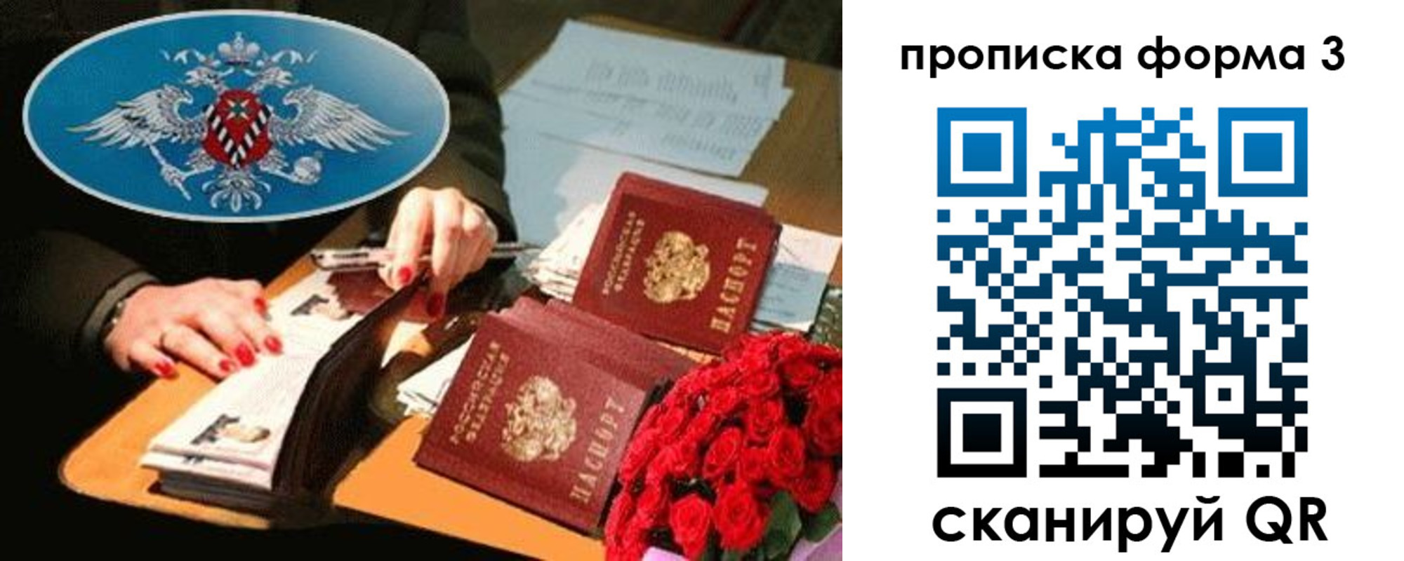 где прописаться в Коле