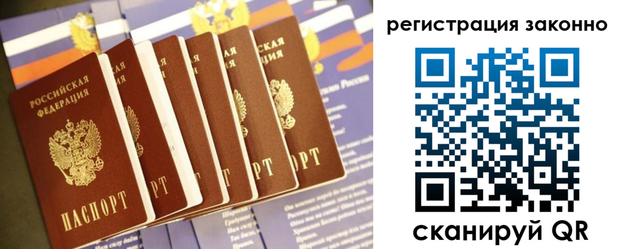 прописка для работы в Коле
